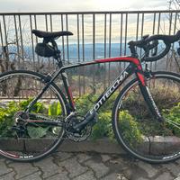 Bottecchia Duello