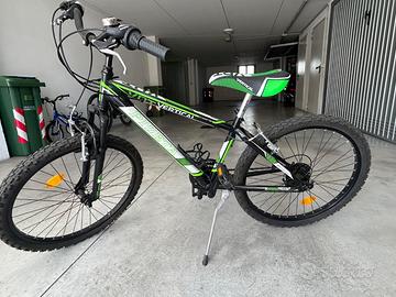 Mountain bike