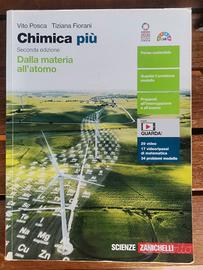 CHIMICA PIÙ