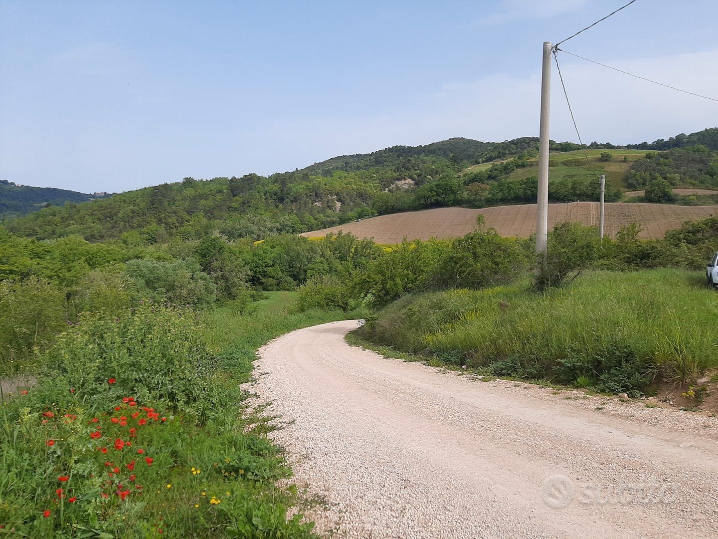 Terreno agricolo Gualdo Cattaneo - Vista 4