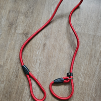 Guinzaglio strozzo vari colori