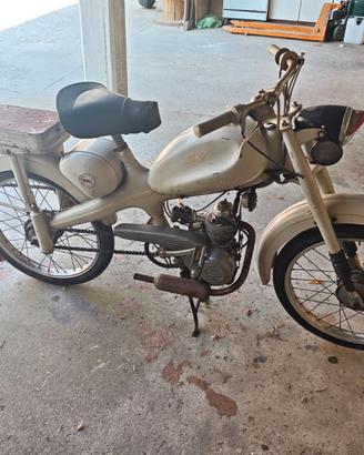 motom 50