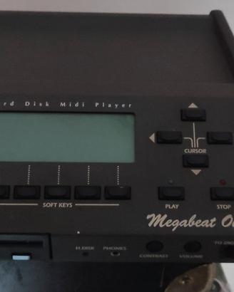 Roland megabeat one