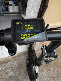 Bici elettrica