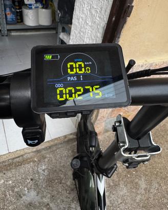 Bici elettrica