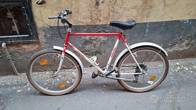 bicicletta