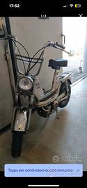 Motorino Cimatti chic