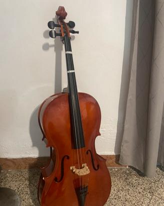 Violoncello 3/4