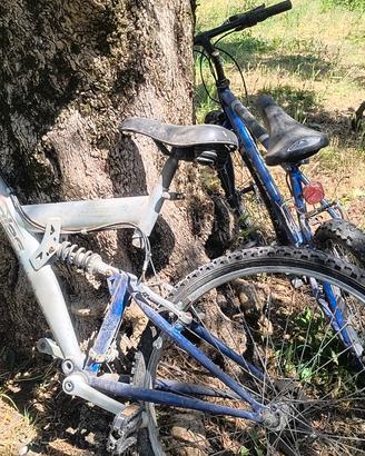 Mountain bike da sistemare