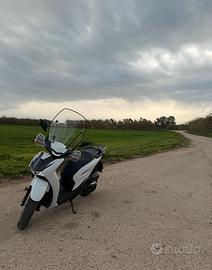 Sh 125 sport