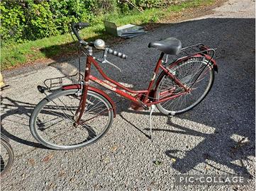 BICI DONNA GLOBUS ELEGANT