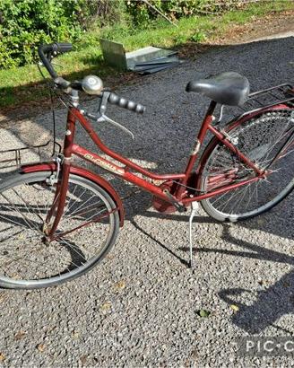 BICI DONNA GLOBUS ELEGANT