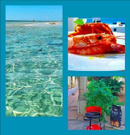 Zona MALDIVE spiagge: Borgo di Presicce (Le)