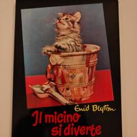 Libro bambini di Enid Blyton con foto di Paul Kaye