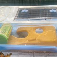 Gabbietta tartarughe