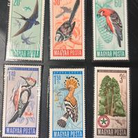 Lotto francobolli Ungheria MNH uccelli 1957/1966