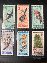 Lotto francobolli Ungheria MNH uccelli 1957/1966