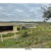 Terreno Agricolo Acate [A4336510]