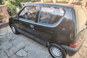 Fiat 600 young