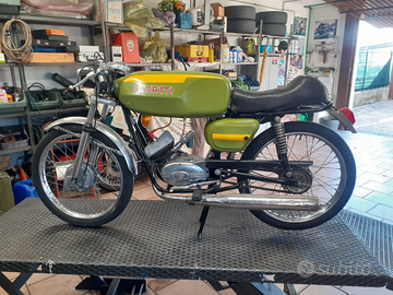 Cimatti kaiman sport 50