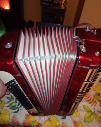 fisarmonica i
