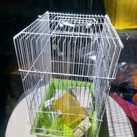 acessori animali 