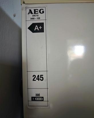 congelatore aeg artics 250L