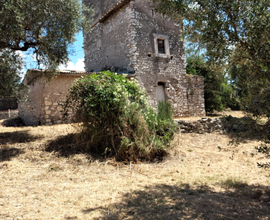 Terreno agricolo con casaletto GUIDONIA MONTECELIO