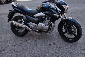 Suzuki Inazuma 250
