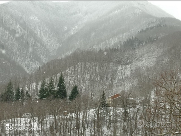 Casa indipendente nel bosco