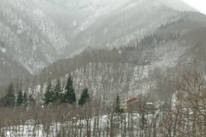 Casa indipendente nel bosco