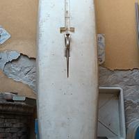 tavola da surf 