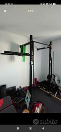 rack calisthenics 