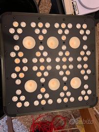 Lamdapa led coltavazione indoor