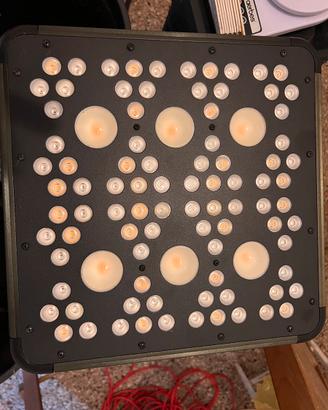 Lamdapa led coltavazione indoor