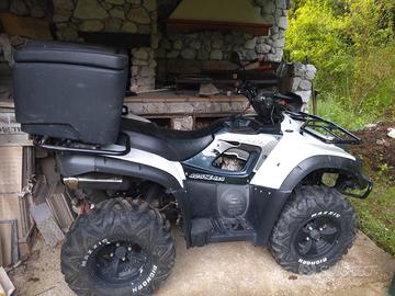 QUAD TBG 4X4