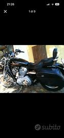 harley