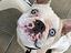 Immagine 1