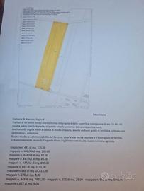 TERRENO AGRICOLO 28500mq
