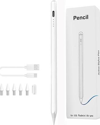 Penna Capacitiva per iPad (2018-2024)
