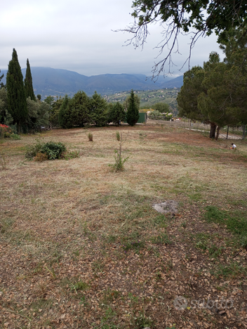 Terreno agricolo