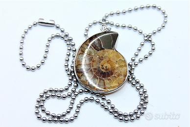 Splendido collare ammonite fossile