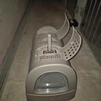 lettiera per gatti