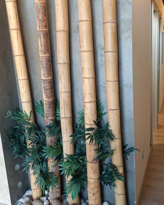 Canne di bambu giganti da arredamento 