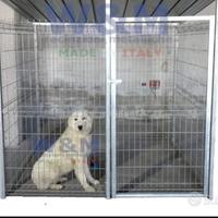 Box per cani recinzioni metalliche