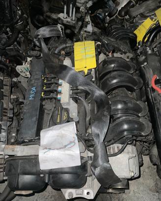 MOTORE MUDA 1.6 B FORD