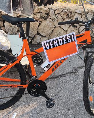 i bicicletta 