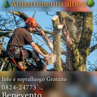 Abbattimento alberi