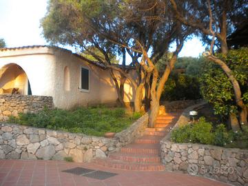 Appartamento 4 posti letto.veranda giardino