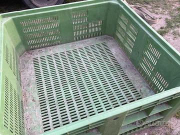 Bins cassone in plastica